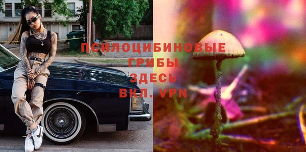 ешки Лиски