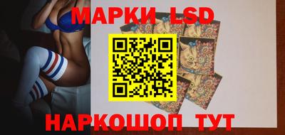 jwh Кингисепп