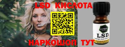 шишки Камышлов