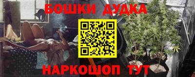 крисы Кинель