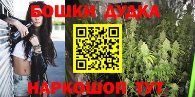 шишки Камышлов