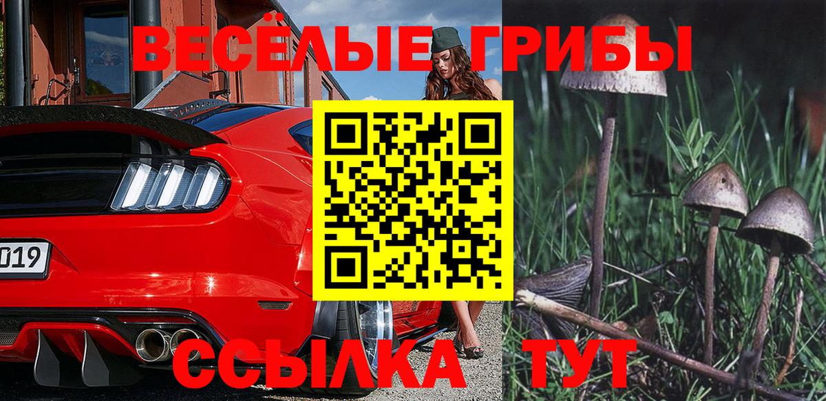 Усть-Джегута  Псилоцибиновые грибы мицелий  Вход с VPN  Псилоцибиновые грибы Psilocybe 